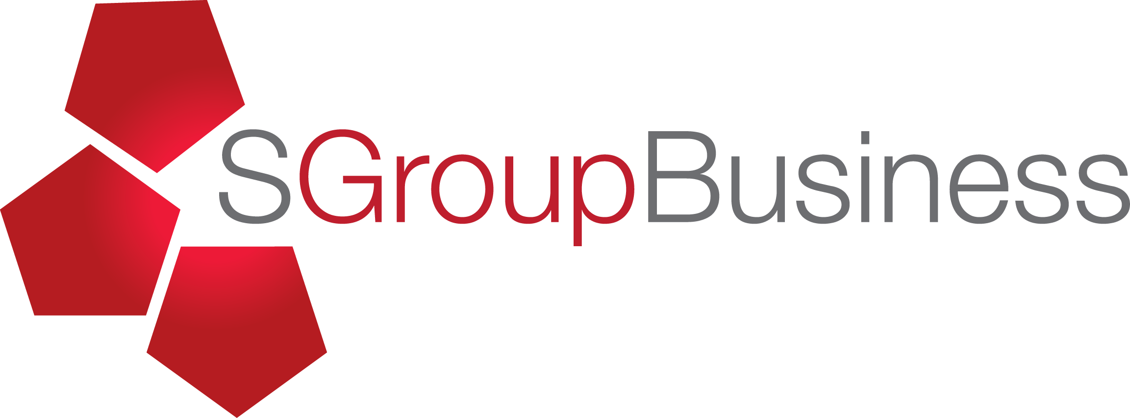 S Group Business